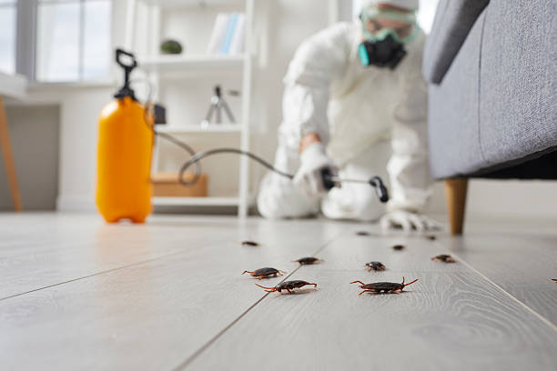 Commercial Kitchen Cockroach Control in Lakeland South